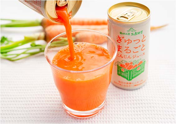ジュース/野菜ペースト