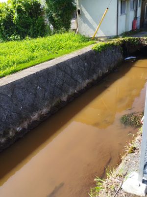 恒例の河川清掃