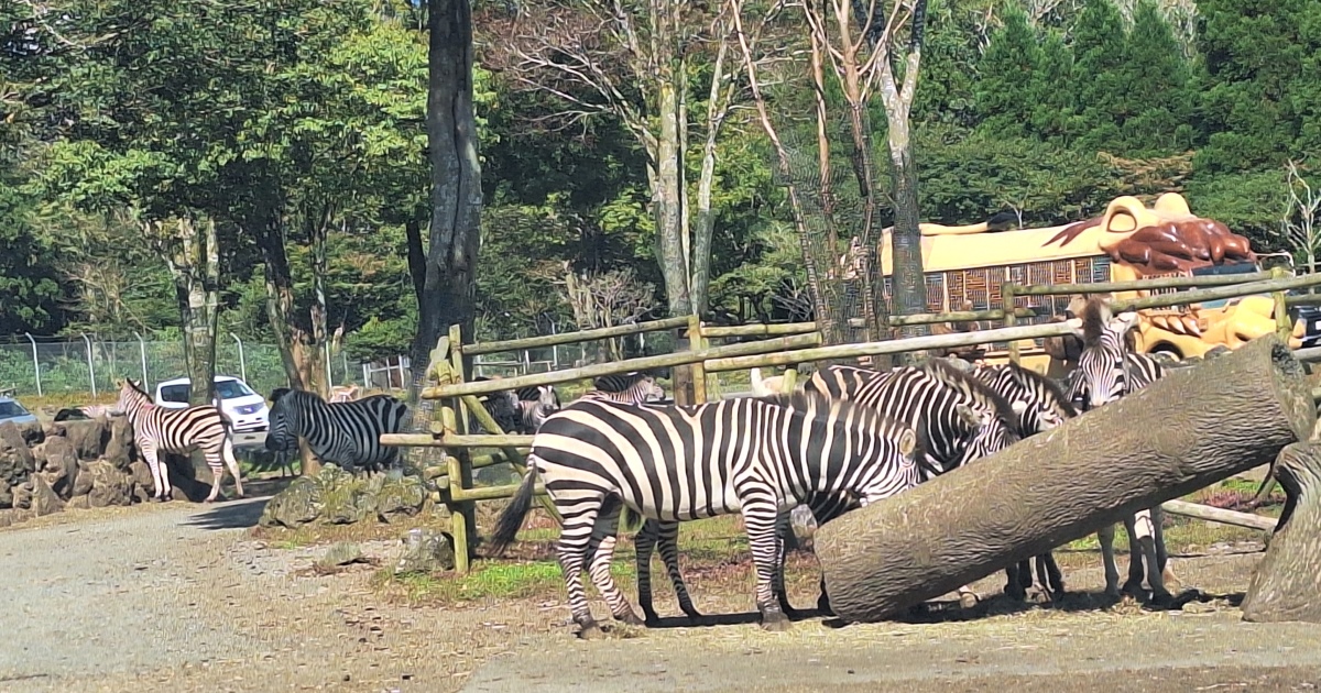 ３連休というもの