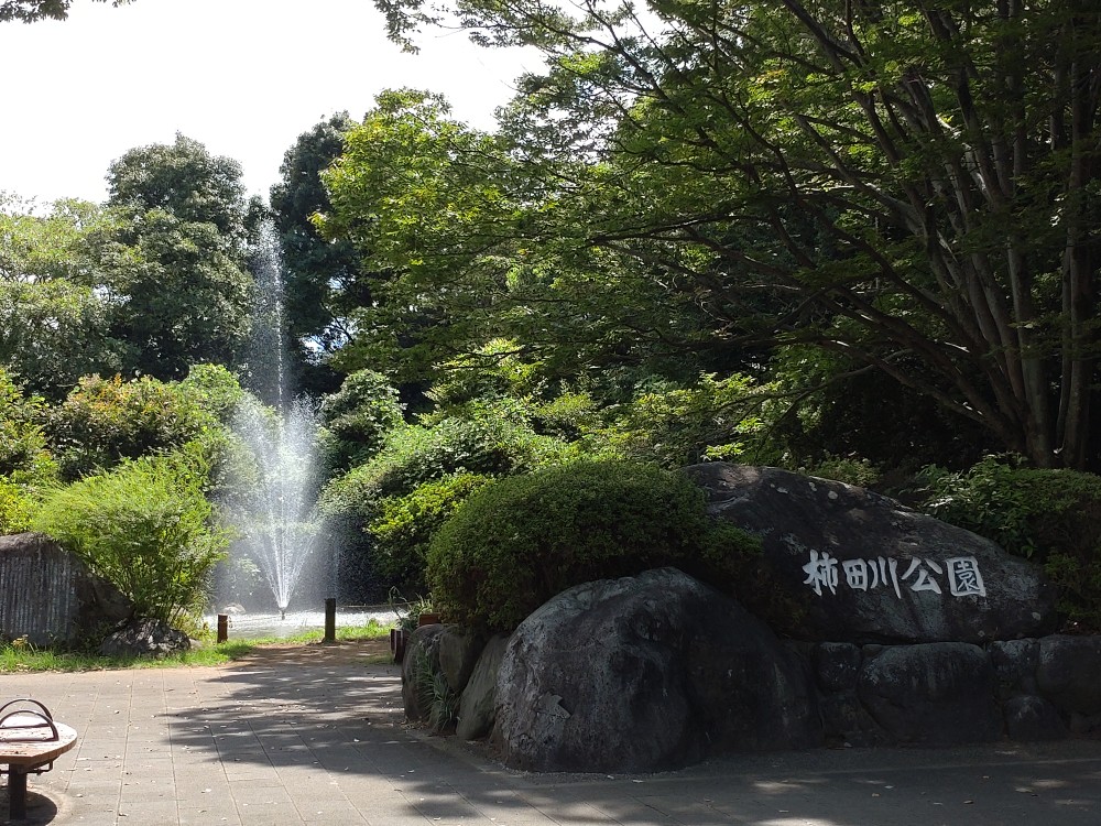 柿田川公園に行ってきた