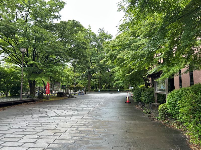 次回のキャンペーンは?