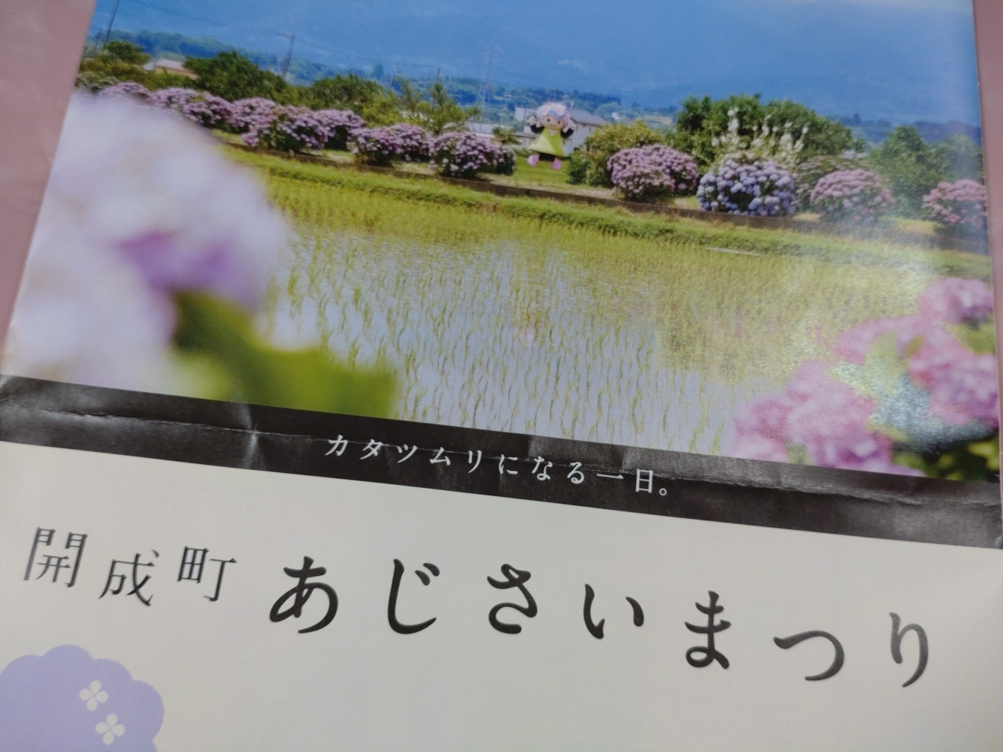 開成町あじさい祭りに行ってきた