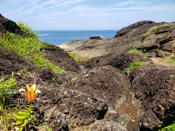 ひたすら海