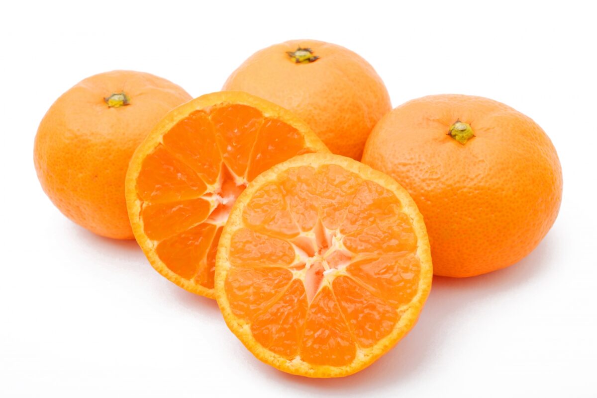 あたみTHE MIKAN 100%の写真5