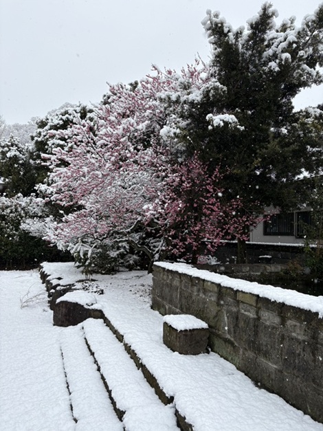 初めての雪遊び