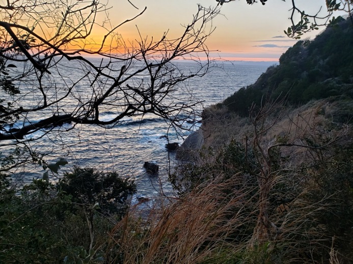 いそいそと磯に