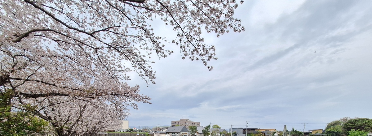 はじめての・・・