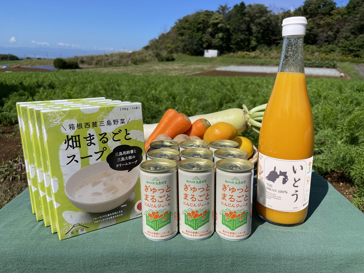 畑の逸品まるごとセットE~三島大根と三島馬鈴薯の恵み~の写真1