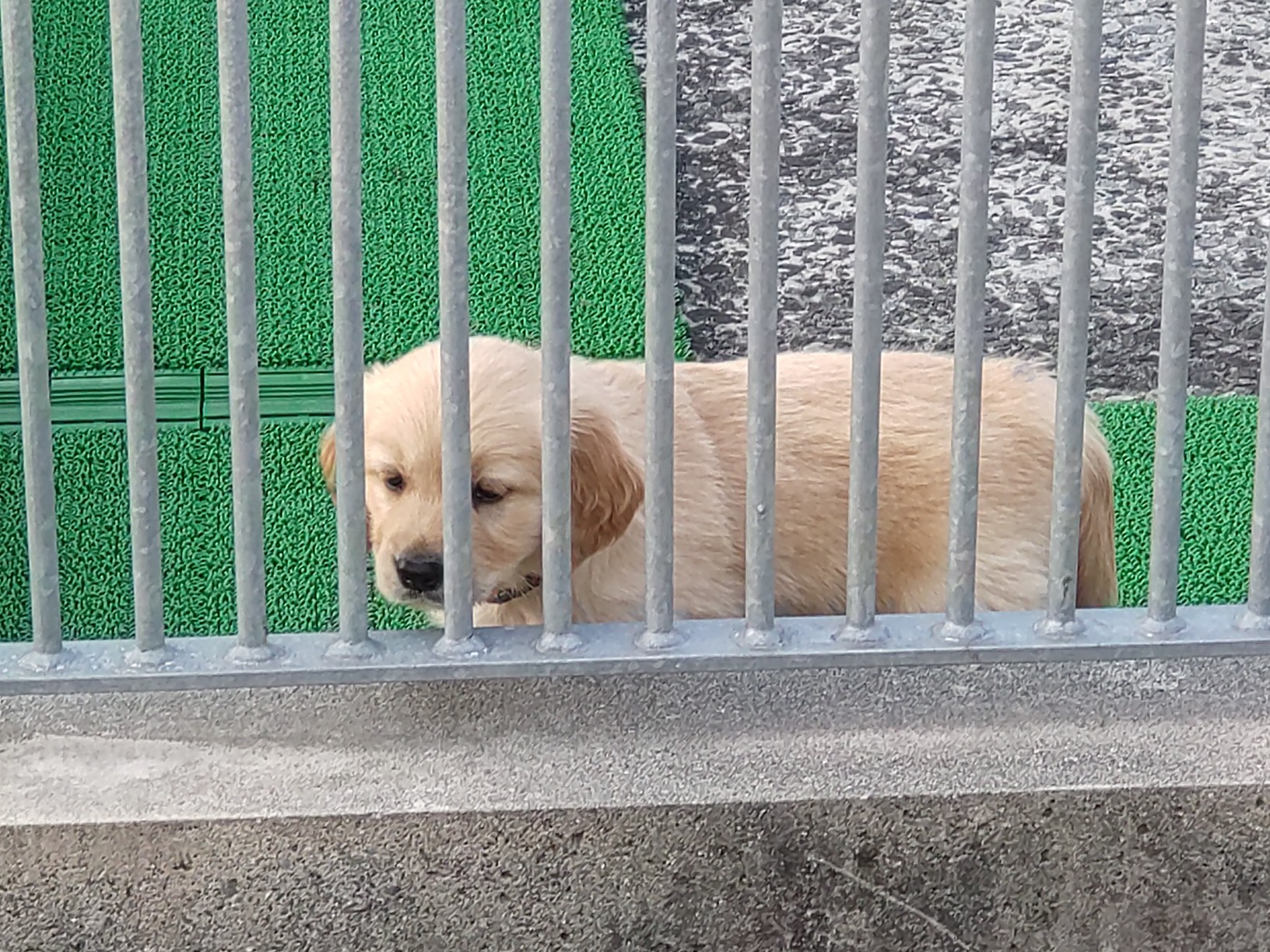 富士ハーネスへ行ってきた