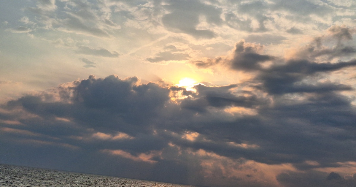 夏と水とトンビ