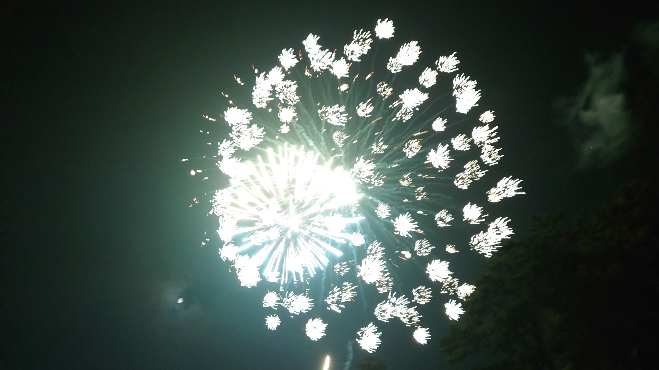 夏仕様と花火
