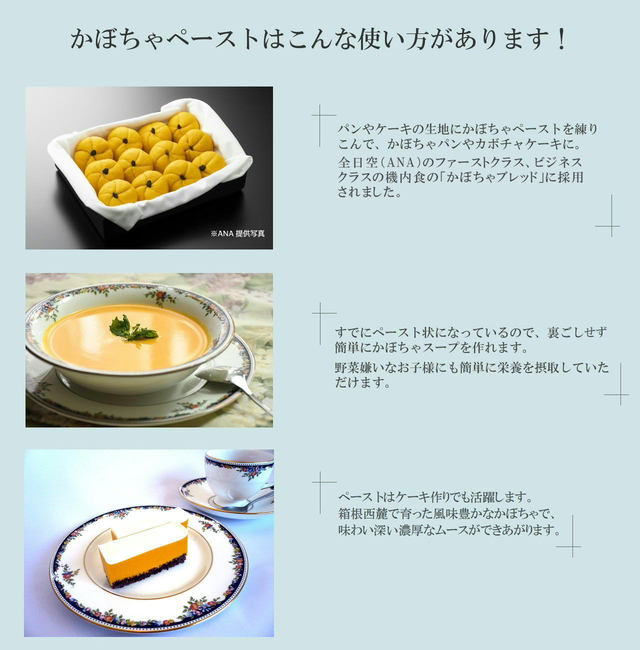 かぼちゃペースト 東平屋 株式会社東平商会が運営する食品の通販サイト